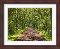 Framed Country Road Photo IV