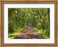 Framed Country Road Photo IV