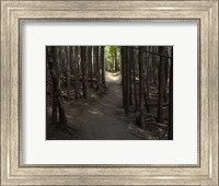 Framed Country Road Photo VI