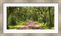 Framed Country Road Photo VII