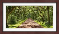 Framed Country Road Photo VII