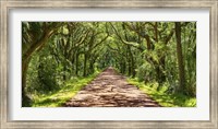 Framed Country Road Photo VII