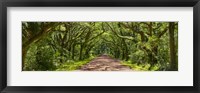 Framed Country Road Panorama IV