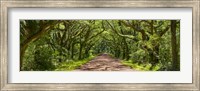 Framed Country Road Panorama IV