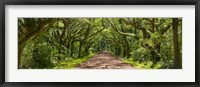 Framed Country Road Panorama IV