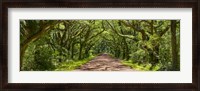 Framed Country Road Panorama IV