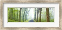 Framed Country Road Panorama V