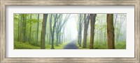 Framed Country Road Panorama V