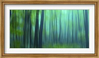 Framed Harriman Woods III