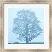 Framed Spring Tree