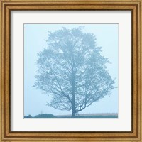 Framed Spring Tree