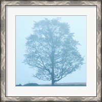 Framed Spring Tree