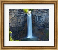 Framed Waterfall Portrait I