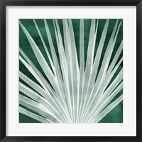 Framed Velvet Palm I