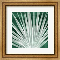 Framed Velvet Palm I