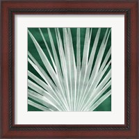 Framed Velvet Palm I