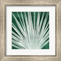 Framed 'Velvet Palm I' border=