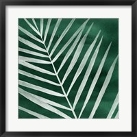 Framed Velvet Palm III