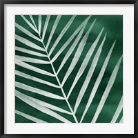 Framed Velvet Palm III