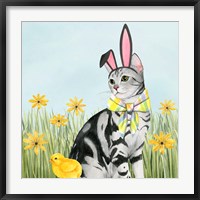 Framed Easter Cats III