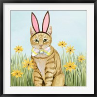 Framed Easter Cats IV