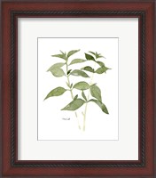 Framed 'Herb Garden Sketches I' border=