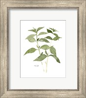 Framed 'Herb Garden Sketches I' border=