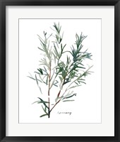 Framed 'Herb Garden Sketches IV' border=