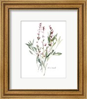 Framed 'Herb Garden Sketches V' border=