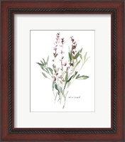 Framed 'Herb Garden Sketches V' border=