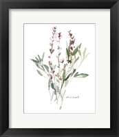 Framed Herb Garden Sketches V
