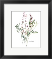 Framed 'Herb Garden Sketches V' border=