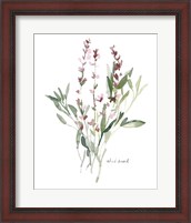 Framed Herb Garden Sketches V