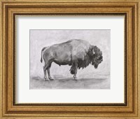 Framed Wild Bison Study I