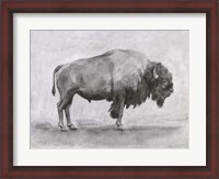 Framed Wild Bison Study I