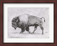 Framed Wild Bison Study II