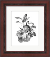 Framed Toucan Toile II