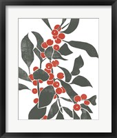 Colorblock Berry Branch IV Framed Print