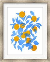 Framed Bright Tangerines II