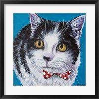 Framed Classy Cat I