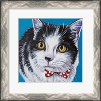 Framed Classy Cat I