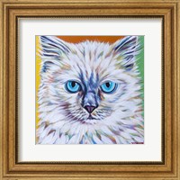 Framed Classy Cat II