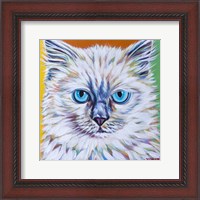 Framed Classy Cat II