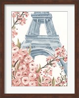 Framed Paris Cherry Blossoms I
