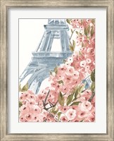 Framed Paris Cherry Blossoms II