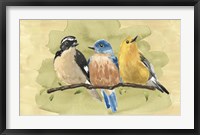 Bird Perch IV Framed Print