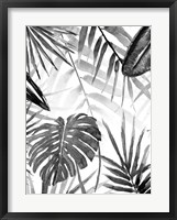 Jungle Walk II Framed Print