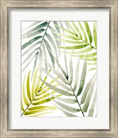 Framed Shady Palm I