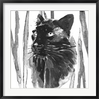 Framed Still Cat I