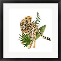 Cheetah Outlook III Framed Print
